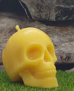 Mittlerer Totenkopf