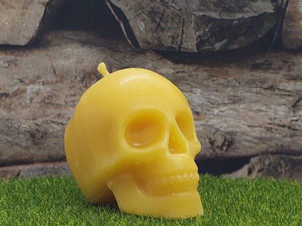 Mittlerer Totenkopf